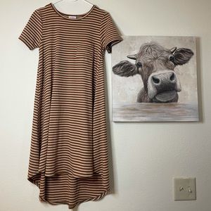BNWOT Carly dress